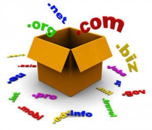 Профессия Доменер (Киберсквоттер)